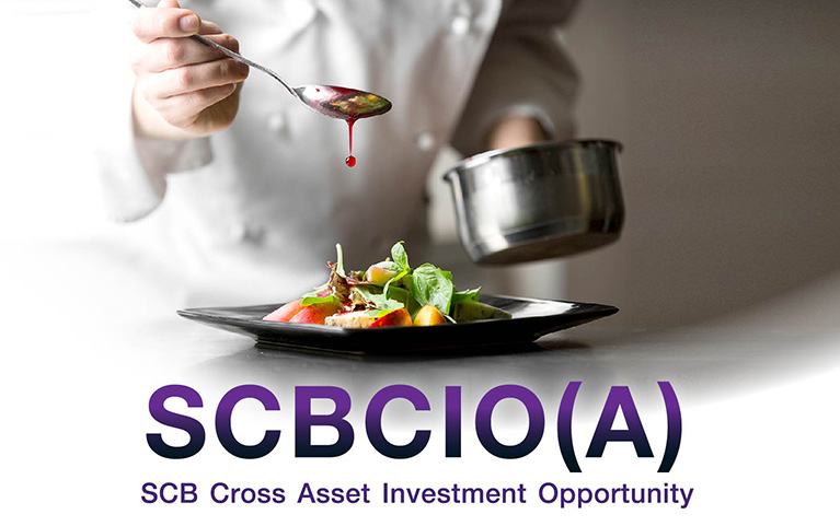 SCB Cross Asset Investment Opportunity (Accumulation)