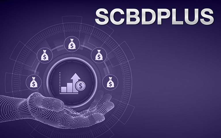 SCB Diversified Income Plus Fund <br>(Accumulation)