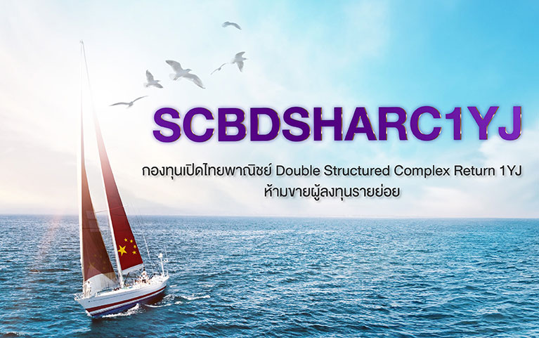SCB Double Structured Complex Return 1YJ Not for Retail Investors