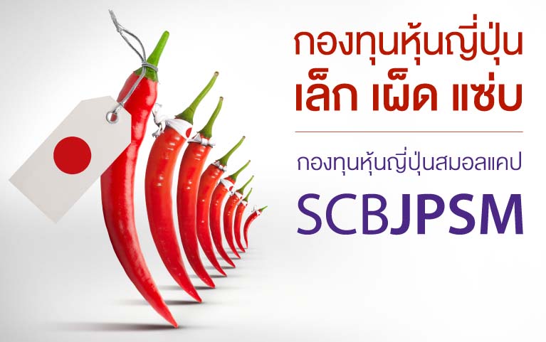 SCB Japan Small Cap Equity Fund<br>(Accumulation)