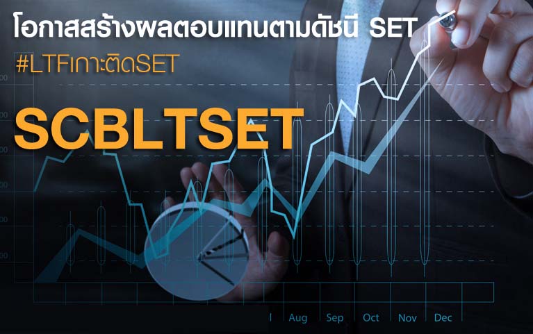 กองทุนเปิดไทยพาณิชย์หุ้นระยะยาว เซ็ท อินเด็กซ์<br>(ชนิดสะสมมูลค่า ปี 2020)