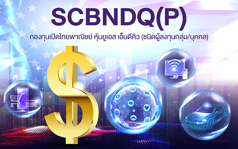 SCB US Equity NDQ (Individual/Group)